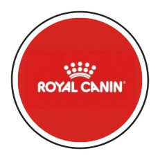 RC REGULAR