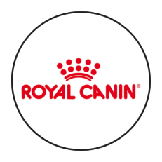 RC DİET
