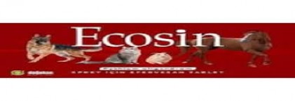 ECOSİN
