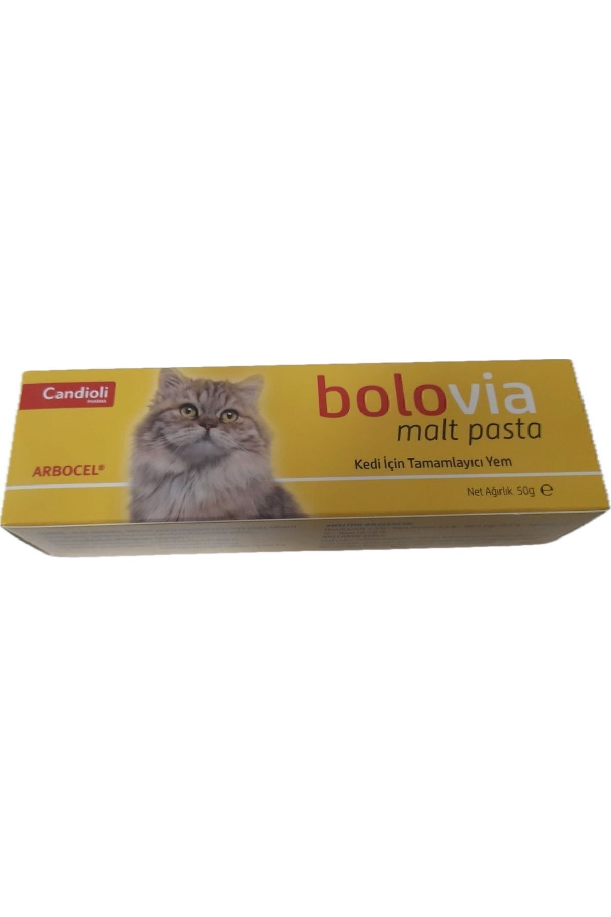 Bolovia Kedi Maltı