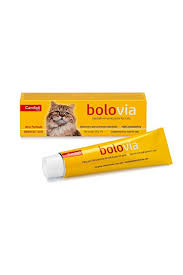 Candioli Bolovia Kedi İçin Tamamlayıcı Yem Pasta 50 G Candioli Bolovia Kedi İçin Tamamlayıcı Yem Pasta 50 G