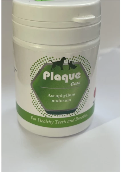 Plaque Care - Kedi Köpek Ağız ve Diş Bakım Ürünü Ikarus Plaque Care - Kedi Köpek Ağız ve Diş Bakım Ürünü Ikarus
