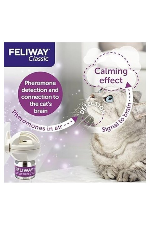 Classic başlangıç seti