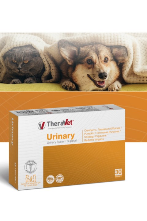 Urinary Kedi Ve Kopeklerde Üriner Sistem