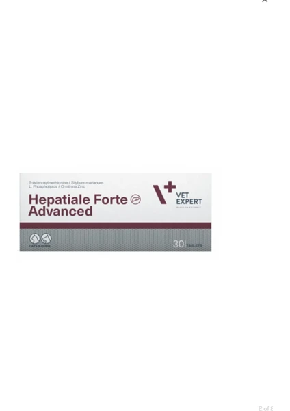 Vet Expert Hepatiale Forte Advanced 30 Tb Vet Expert Hepatiale Forte Advanced 30 Tb
