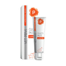 VET PRİVE GLUCO KEDİ VE KÖPEKLER İÇİN EKLEM DESTEĞİ MALT MACUN 100GR