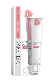 VET PRİVE MULTİVİTAMİN PASTE KEDİ VE KÖPEKLER İÇİN MULTİVİTAMİN MALT MACUNU 100GR VET PRİVE MULTİVİTAMİN PASTE KEDİ VE KÖPEKLER İÇİN MULTİVİTAMİN MALT MACUNU 100GR